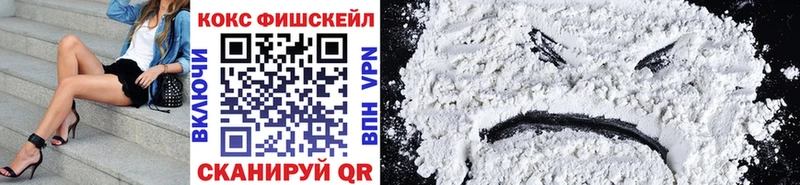 Cocaine Fish Scale  Купить закладки  Курильск 