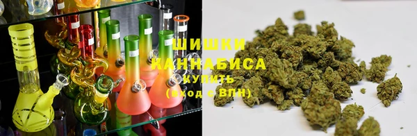 бошки Белокуриха