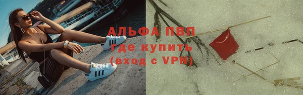 бошки Белокуриха