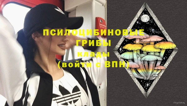 бошки Белокуриха